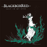 Blackboxred - Salt in my eyes (LP) - Velvet Music