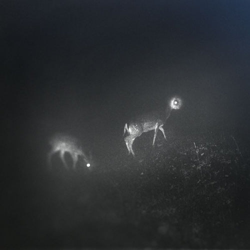 Bliss Signal - Bliss signal (LP) - Velvet Music