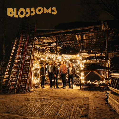 Blossoms - Blossoms (LP) - Velvet Music