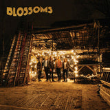 Blossoms - Blossoms (LP) - Velvet Music