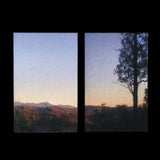 Bonny Doon - Longwave (LP) - Velvet Music