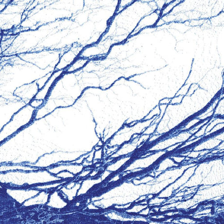 The Bony King Of Nowhere - Silent days (LP) - Velvet Music