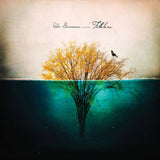 Robin Borneman - Folklore i: the waving days (CD)