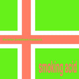 The Brian Jonestown Massacre - Smoking acid (CD) - Velvet Music