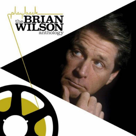 Brian Wilson - Playback: the anthology (LP)