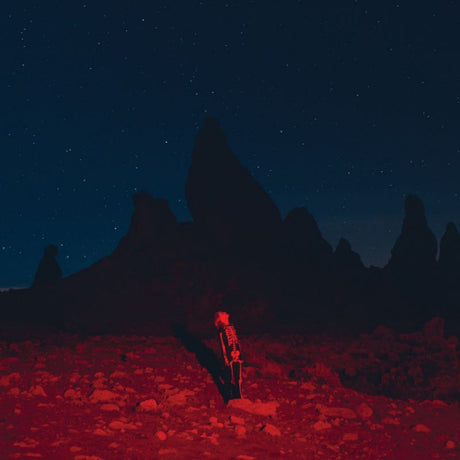 Phoebe Bridgers - Punisher (CD)