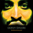 Aaron Brooks - Homunculus (LP) - Velvet Music