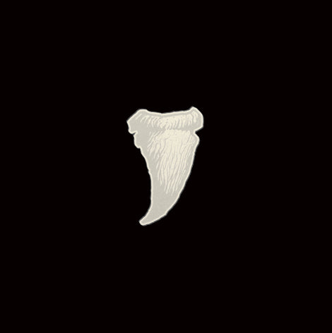 Budos Band - Long in the tooth (LP) - Velvet Music