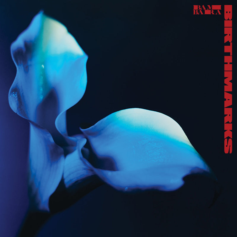 Bambara - Birthmarks (LP) - Velvet Music
