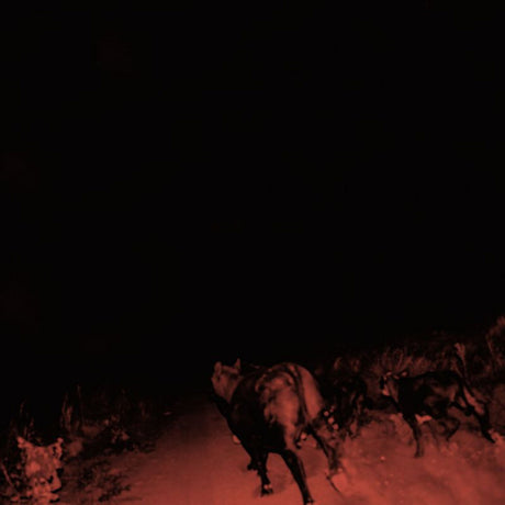 Bambara - Shadow on everything (LP) - Velvet Music