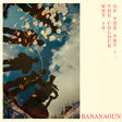 Bananagun - Why is the colour of the sky? (LP) - Velvet Music