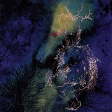 Bardo Pond - Under the pines (CD) - Velvet Music