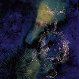 Bardo Pond - Under the pines (CD) - Velvet Music