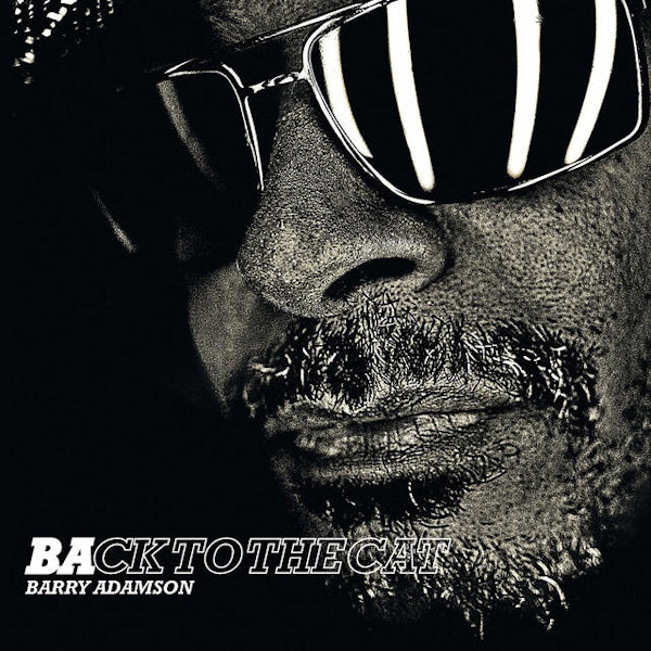 Barry Adamson - Back to the cat (CD) - Velvet Music