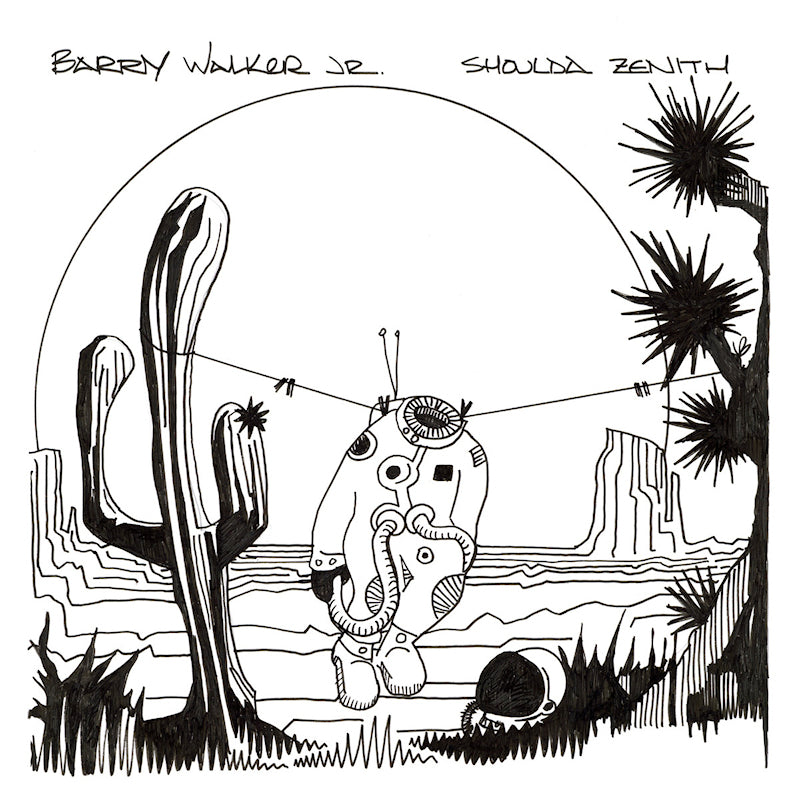 Barry Walker -jr- - Shoulda zenith (LP) - Velvet Music