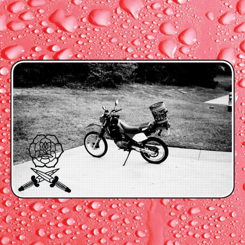 Bass Drum Of Death - Say i won't (LP) - Velvet Music