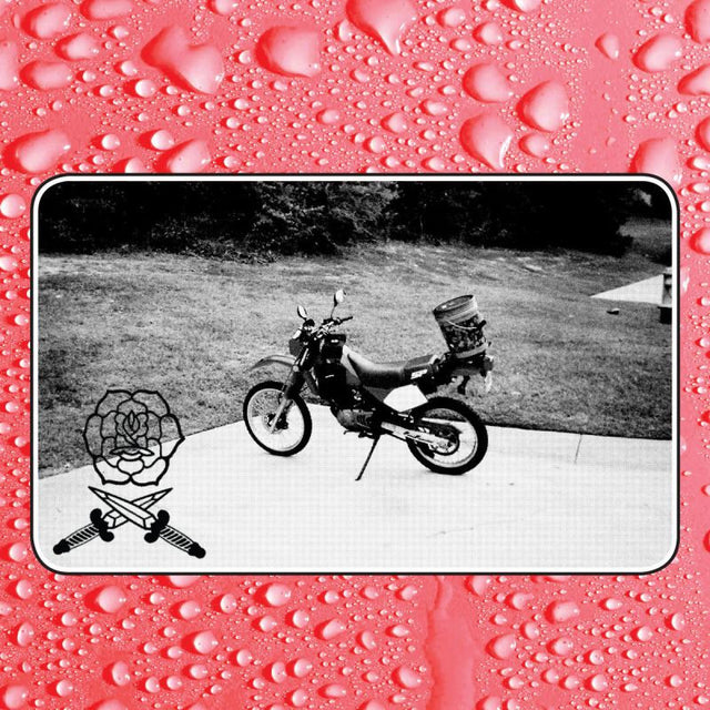 Bass Drum Of Death - Say i won't (LP) - Velvet Music