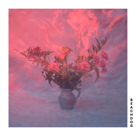 Beachdog - Beachdog (CD) - Velvet Music