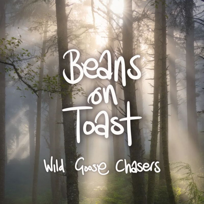 Beans On Toast - Wild goose chasers (CD) - Velvet Music