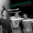 Beggar Weeds - Tragedy in u.s. history (CD) - Velvet Music