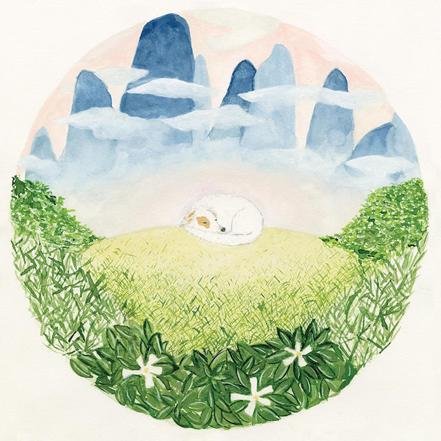 Ben Hackett - Songs for sleeping dogs (LP) - Velvet Music