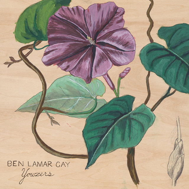 Ben Lamar Gay - Yowzers (LP) - Velvet Music