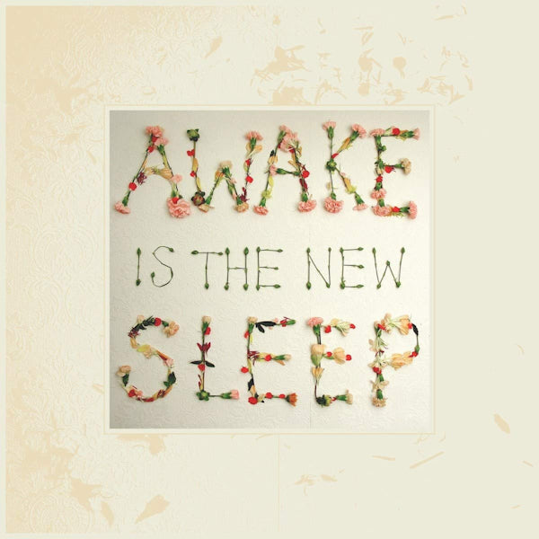 Ben Lee - Awake is the new sleep (LP)