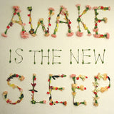 Ben Lee - Awake is the new sleep (CD) - Velvet Music