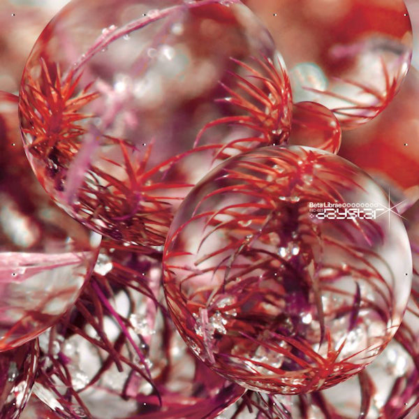 Beta Librae - Daystar (LP) - Velvet Music