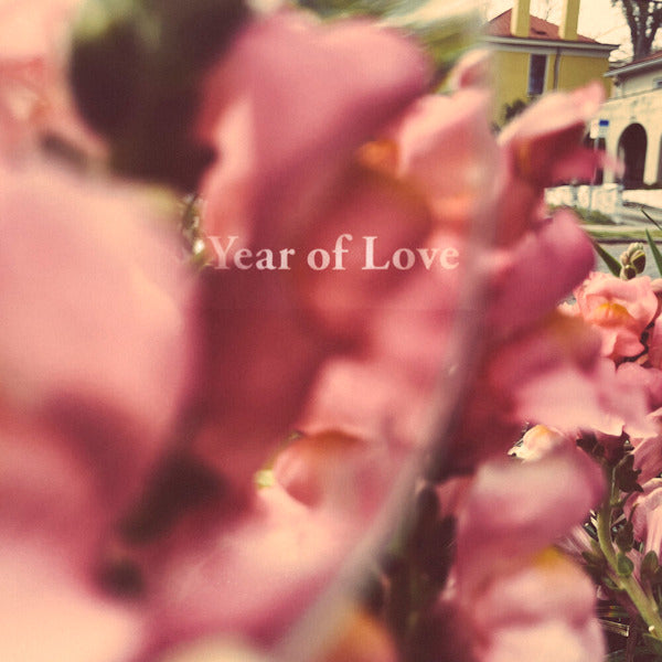 Beta Radio - Year of love (LP) - Velvet Music