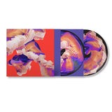 Bicep - Isles (LP) - Velvet Music
