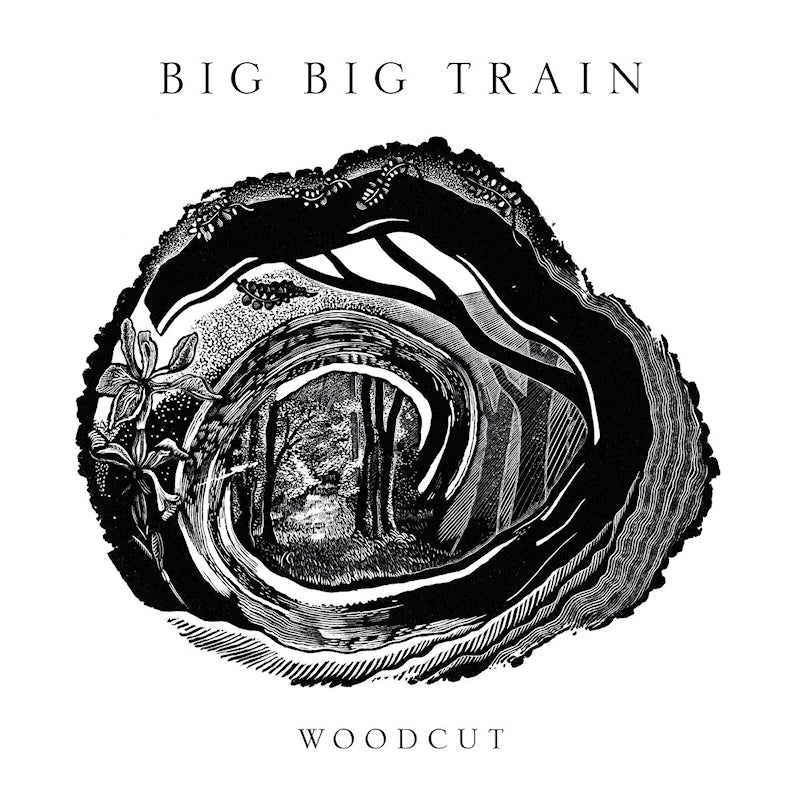 Big Big Train - Woodcut (blu ray movie) - Velvet Music