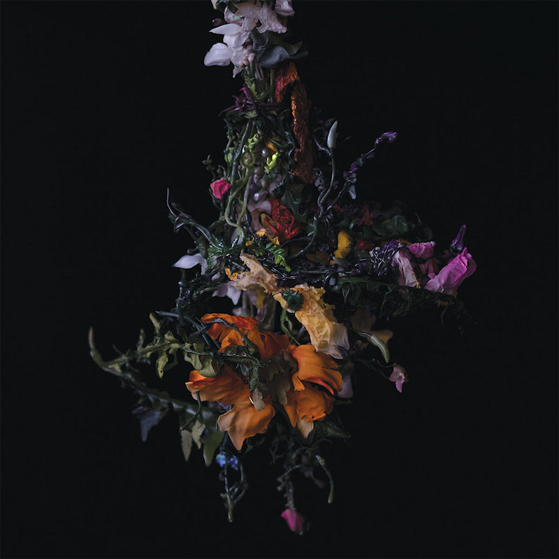 Big Brave - Nature morte (LP) - Velvet Music