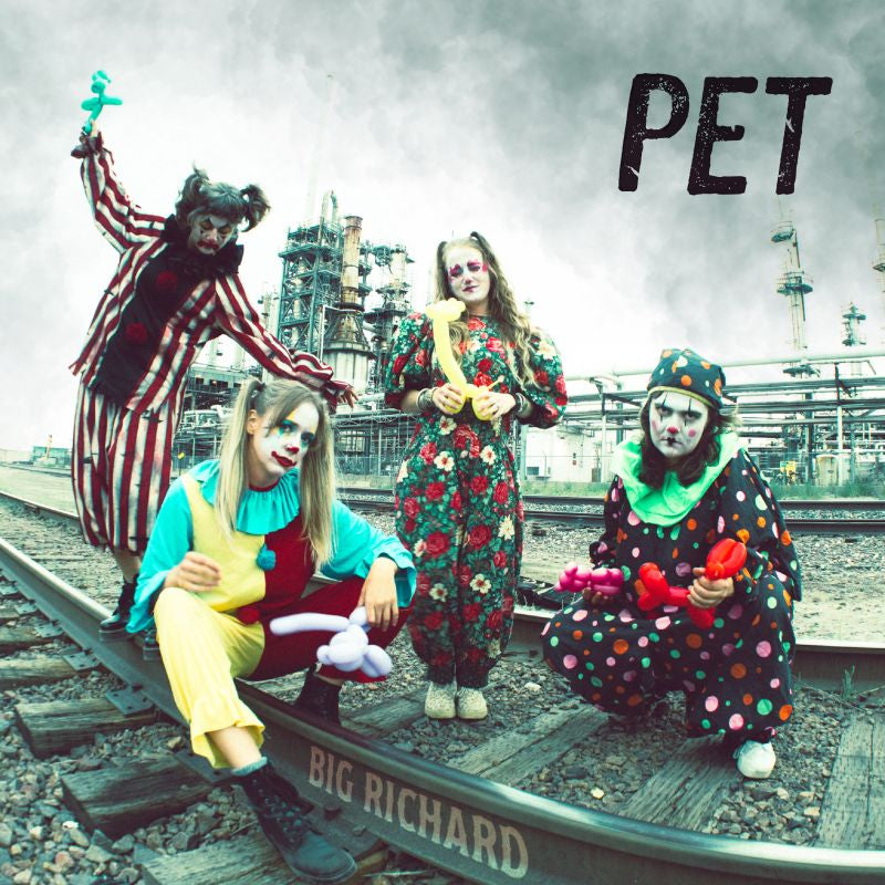 Big Richard - Pet (LP) - Velvet Music