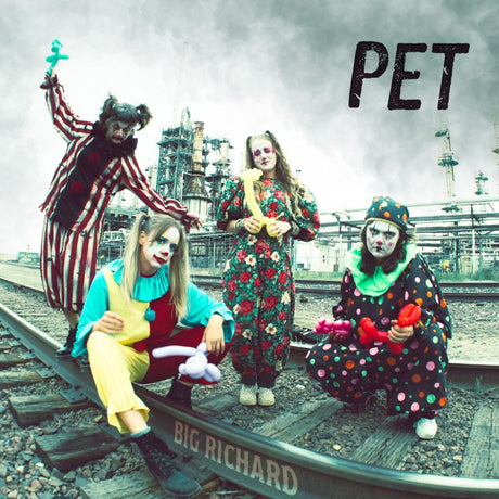 Big Richard - Pet (LP) - Velvet Music