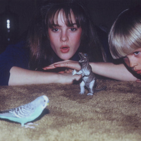 Big Thief - Masterpiece (LP) - Velvet Music