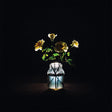 Billy Strings - Renewal (CD) - Velvet Music