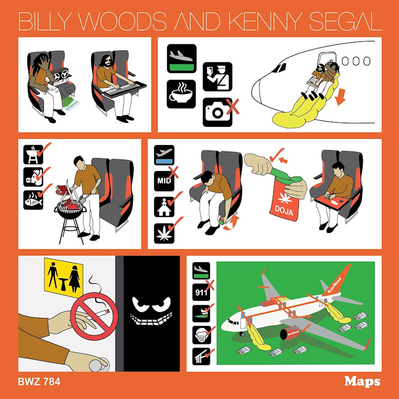 Billy Woods - Maps (LP) - Velvet Music