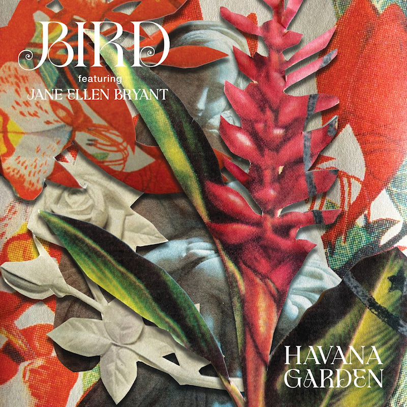 Bird - Havana Garden (7-inch single) - Velvet Music