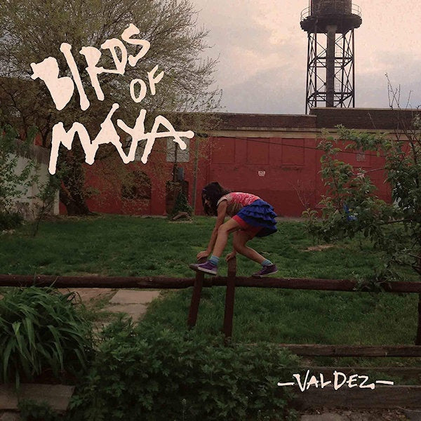 Birds Of Maya - Valdez (LP) - Velvet Music