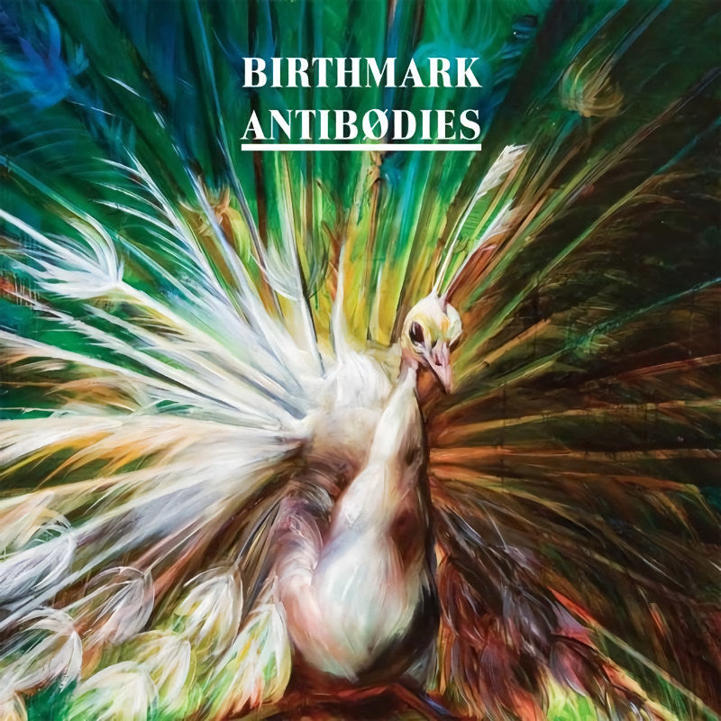 Birthmark - Antibodies (LP) - Velvet Music