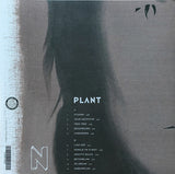 Nynke Laverman - Plant (LP) - Velvet Music