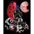 Bjork - Cornucopia: live (DVD) - Velvet Music