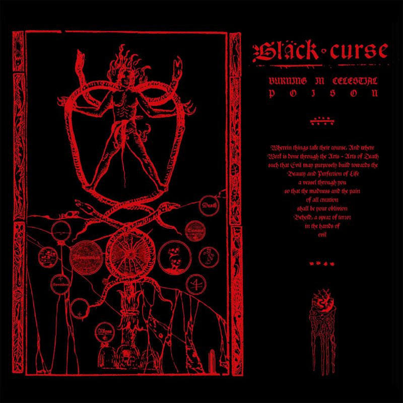 Black Curse - Burning in celestial poison (LP) - Velvet Music