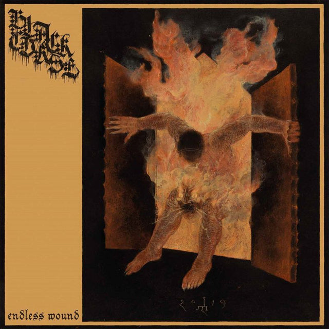 Black Curse - Endless wound (CD) - Velvet Music