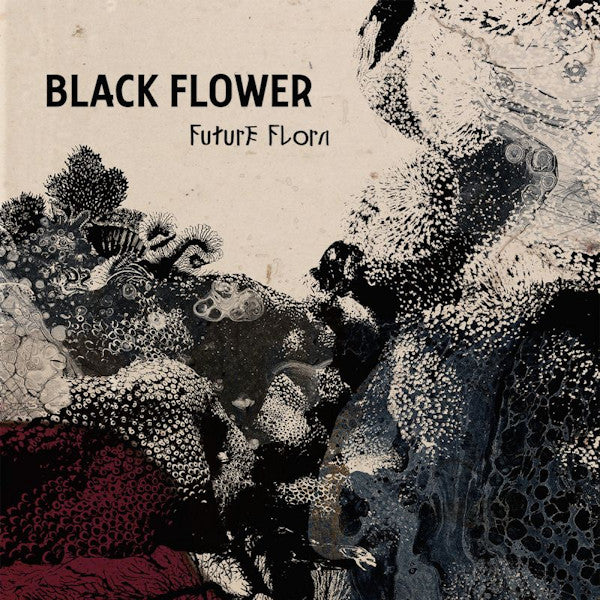 Black Flower - Future flora (LP) - Velvet Music