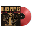 Black Pumas - Chronicles of a diamond (LP) - Velvet Music