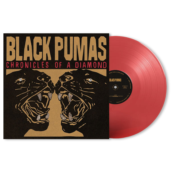 Black Pumas - Chronicles of a diamond (LP) - Velvet Music
