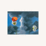 Blake Mills - Look (CD) - Velvet Music