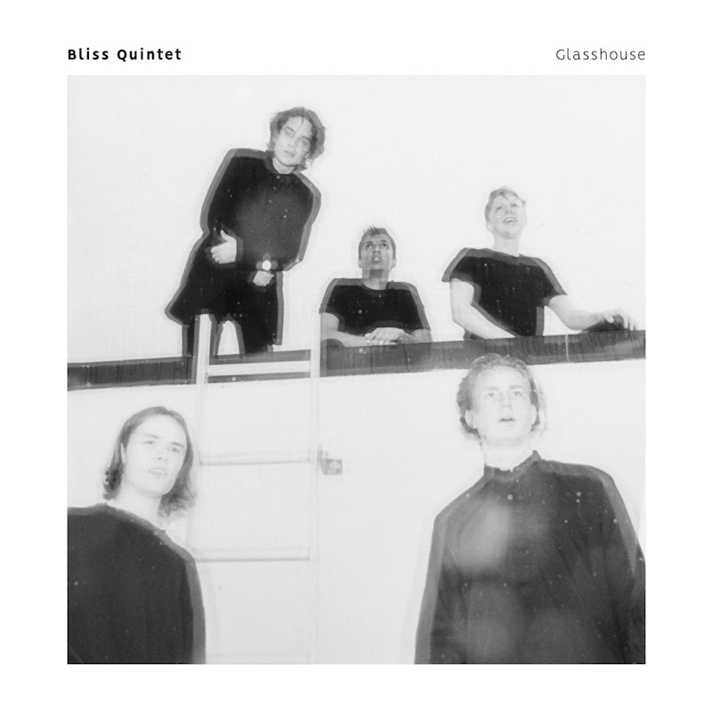 Bliss Quintet - Glasshouse (LP) - Velvet Music